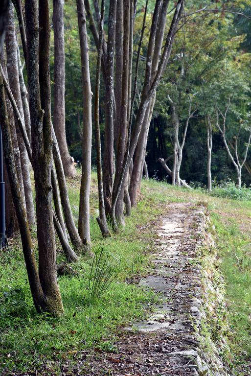 Sun Moon Lake Bamboo Rock Garden Yuchi Exterior photo